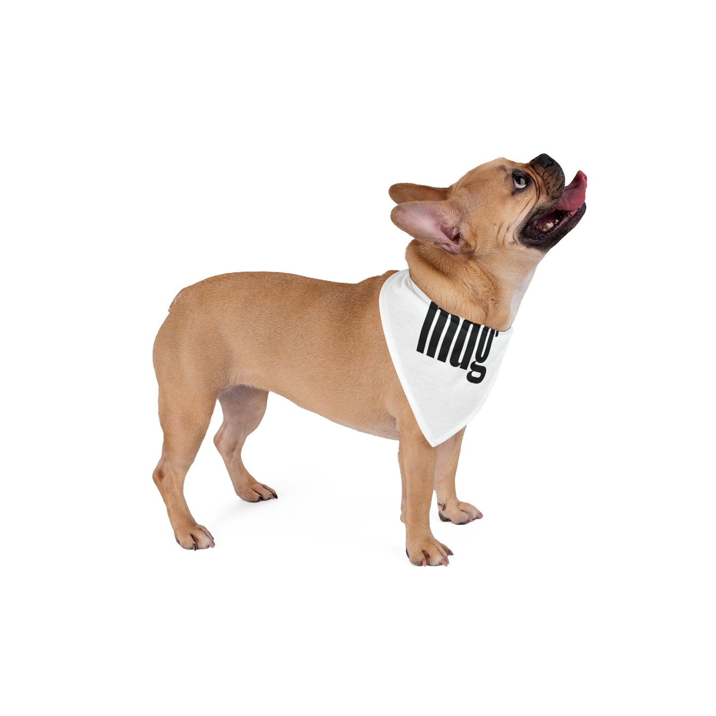 Pet Bandana